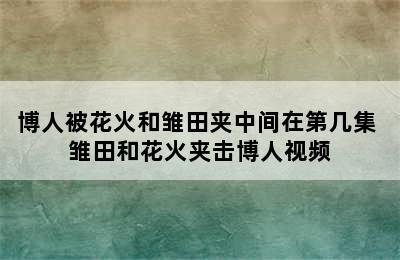 博人被花火和雏田夹中间在第几集 雏田和花火夹击博人视频